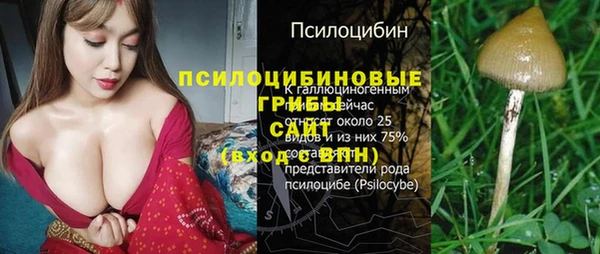 гашик Магас