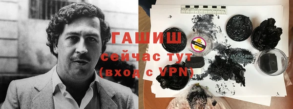индика Медногорск