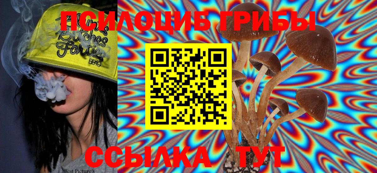 Пермь  Галлюциногенные грибы Psilocybine cubensis  Вход с VPN 