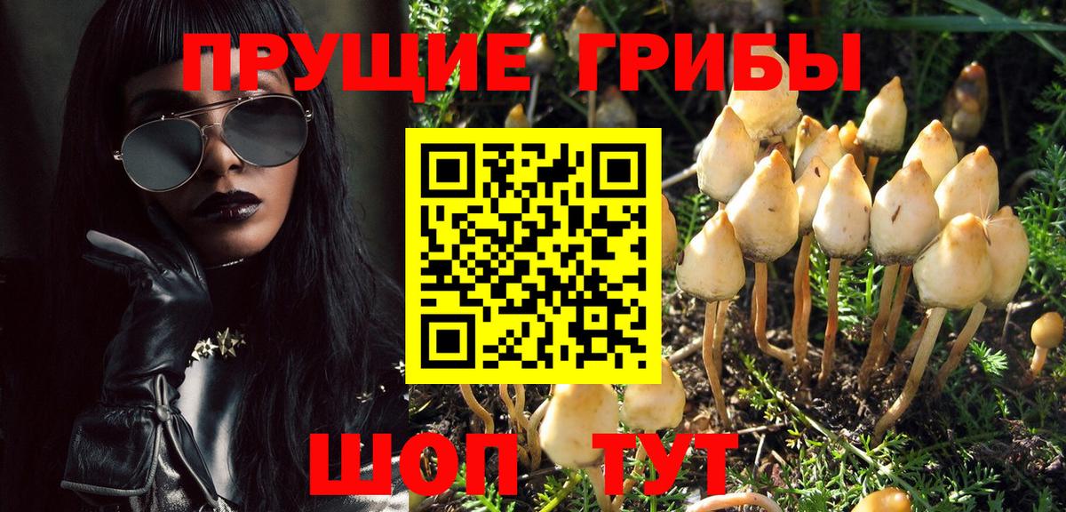 Псилоцибиновые грибы мухоморы Пермь